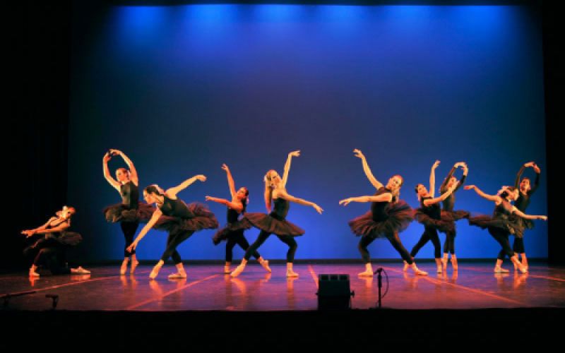 espectaculos y actividades danza 10