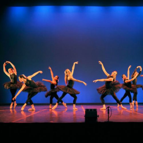 espectaculos y actividades danza 10