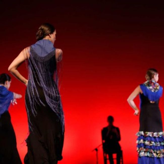 Profesores de la academia de baile