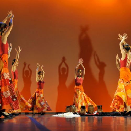 espectaculos y actividades danza 18