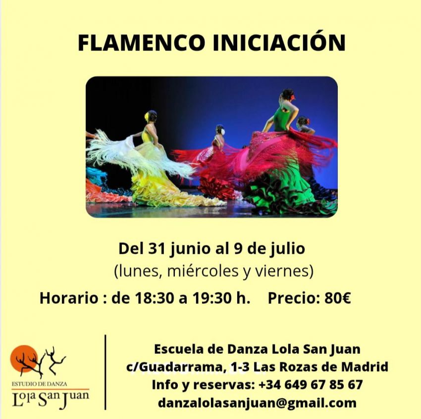 cursillo flamenco inicición