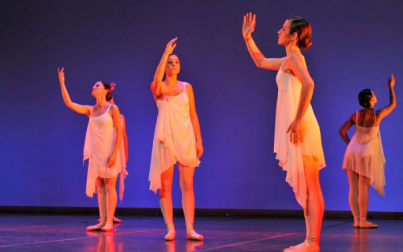 espectaculos y actividades danza 14