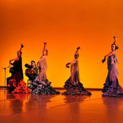 Estudio de la técnica de braceados, zapateados y pasos dentro de los diferentes ritmos del flamenco, aprendiendo a diferenciar cada uno de ellos: tanguillos, tangos, fandangos, alegrías, tientos, soleá, seguirilla, etc