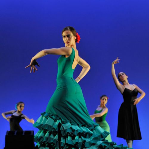 espectaculos y actividades danza 16